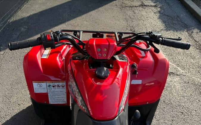 2025 Yamaha Grizzly 110