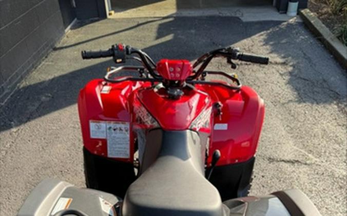 2025 Yamaha Grizzly 110