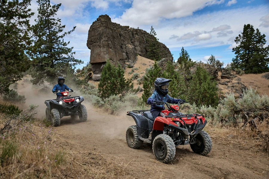 2025 Yamaha Grizzly 110