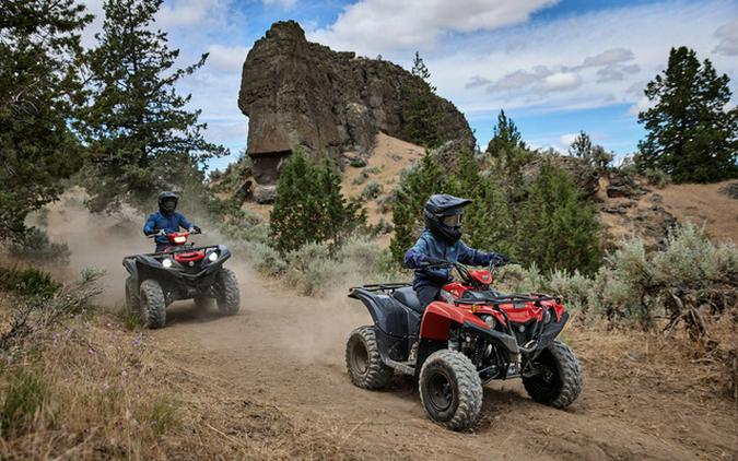 2025 Yamaha Grizzly 110