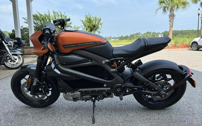 2020 Harley-Davidson® ELW - LiveWire™