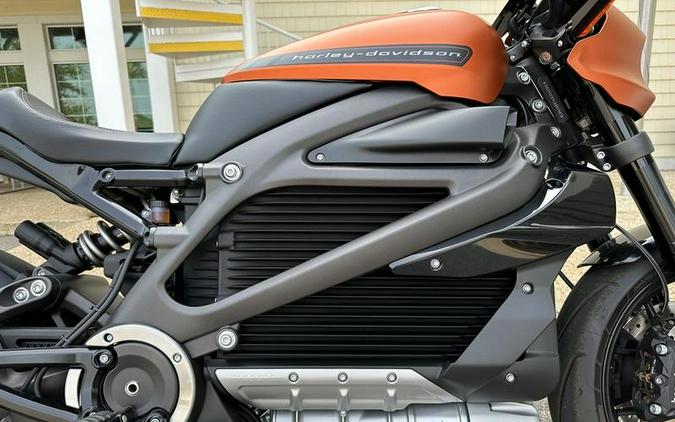 2020 Harley-Davidson® ELW - LiveWire™