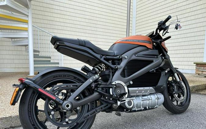 2020 Harley-Davidson® ELW - LiveWire™