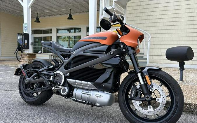 2020 Harley-Davidson LiveWire First Ride