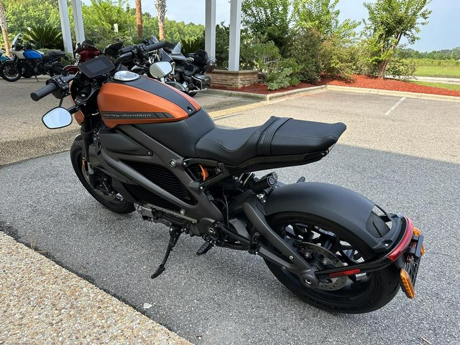 2020 Harley-Davidson® ELW - LiveWire™