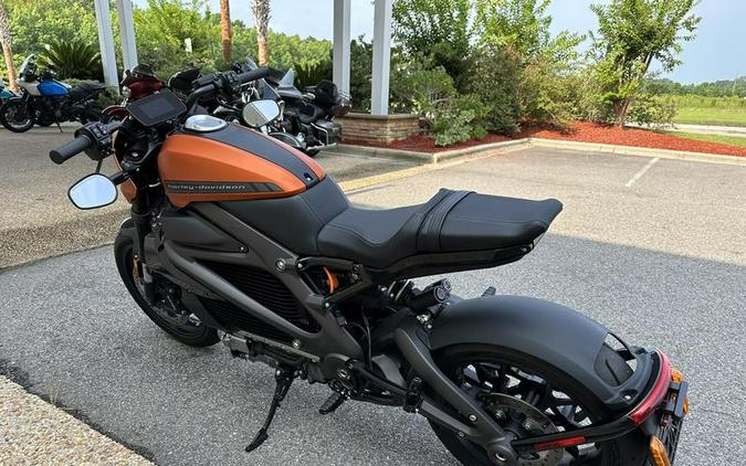 2020 Harley-Davidson® ELW - LiveWire™