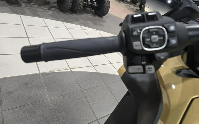 2025 HONDA GOLDWING TOUR DCT 50TH ANNIVERSARY