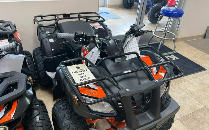 2026 Kayo Bull 150 EFI