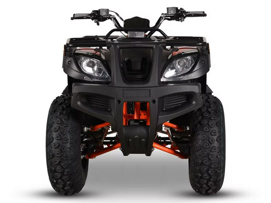 2026 Kayo Bull 150 EFI