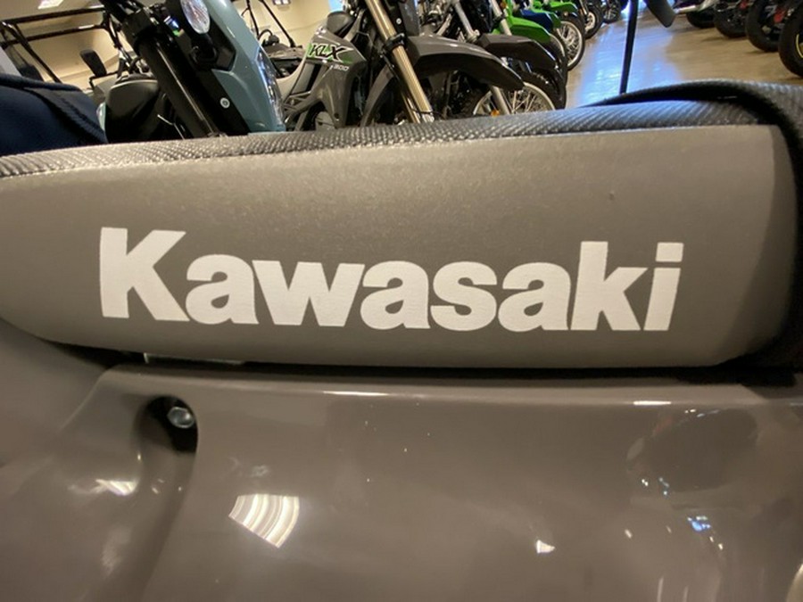 2025 Kawasaki KLX300SM