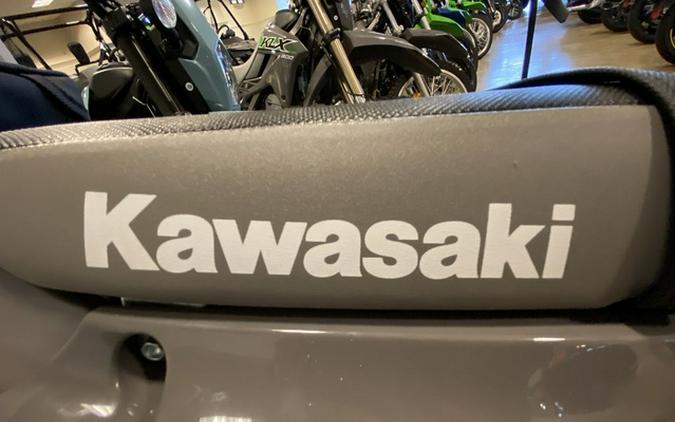 2025 Kawasaki KLX300SM