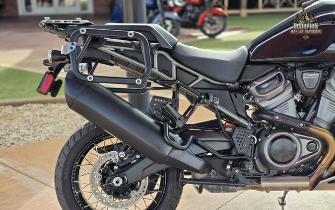 2025 Harley-Davidson® RA1250S - Pan America® 1250 Special