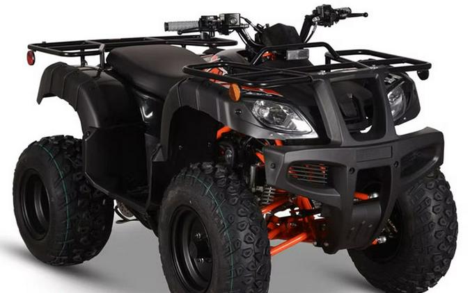 2026 Kayo Bull 150 EFI