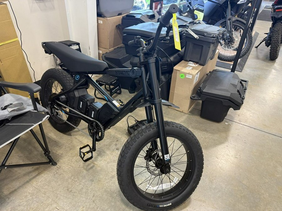 2025 Stacyc 20HDRIVE CLASS 2