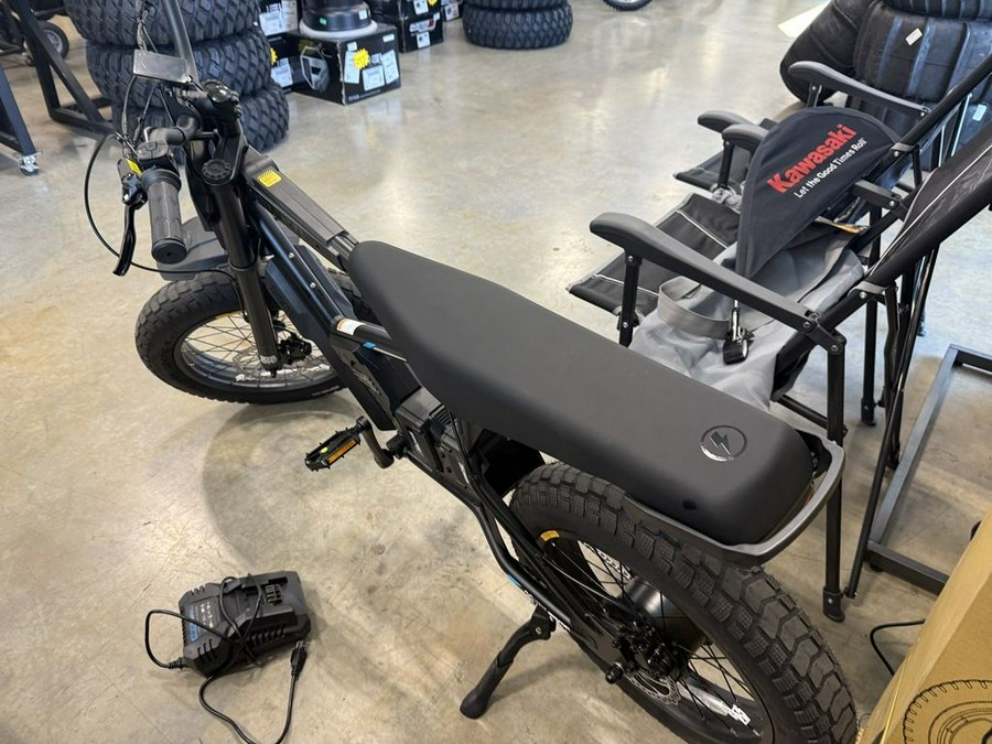 2025 Stacyc 20HDRIVE CLASS 2