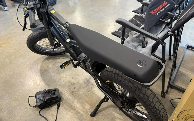 2025 Stacyc 20HDRIVE CLASS 2