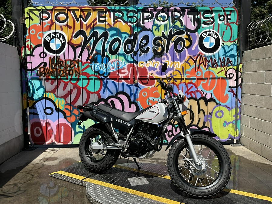 2025 Yamaha TW200