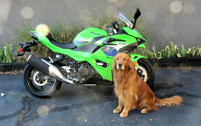 2026 Kawasaki Ninja® 500 SE ABS