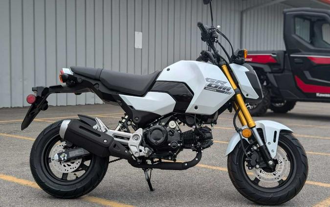 2026 HONDA GROM