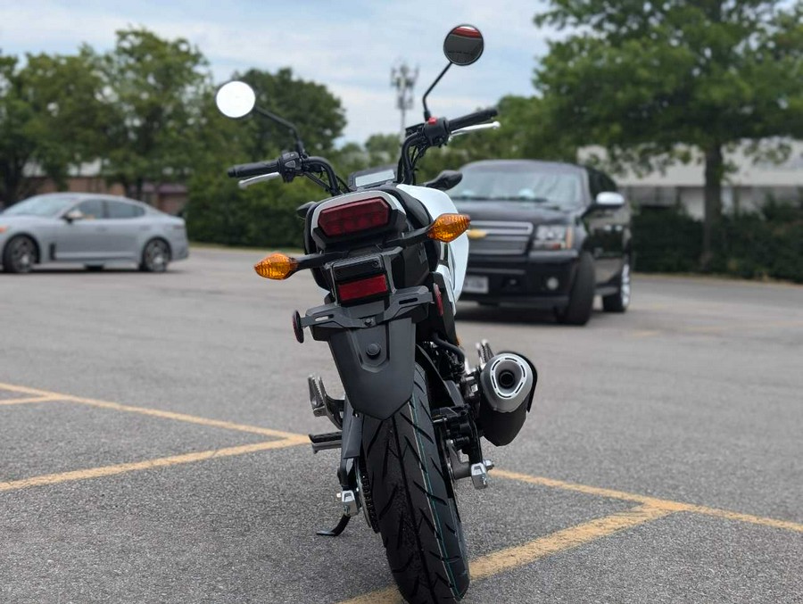 2026 HONDA GROM