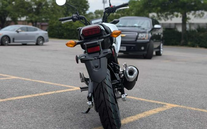 2026 HONDA GROM
