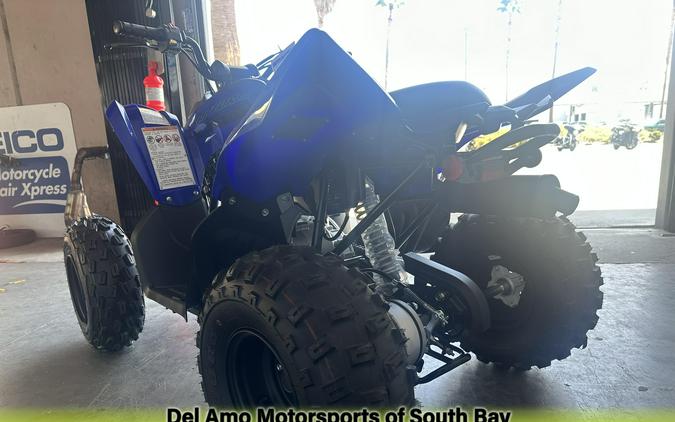 2025 Yamaha RAPTOR 110