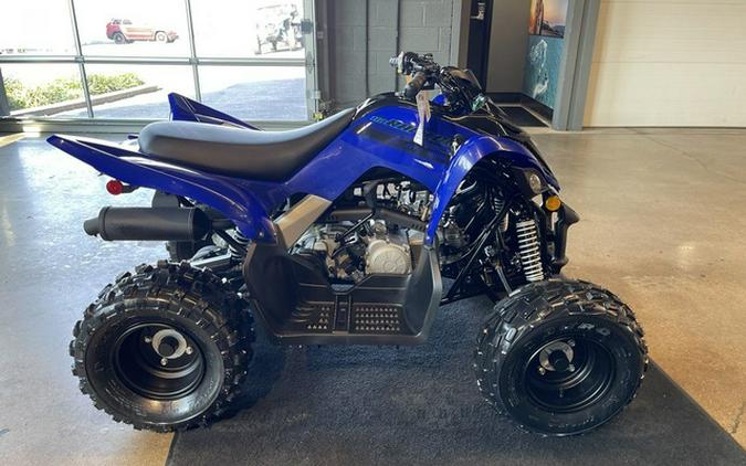 2025 Yamaha Raptor 110
