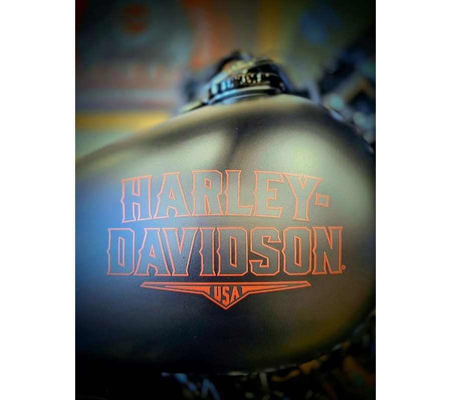 2026 Harley-Davidson® FLHD - Deadwood™