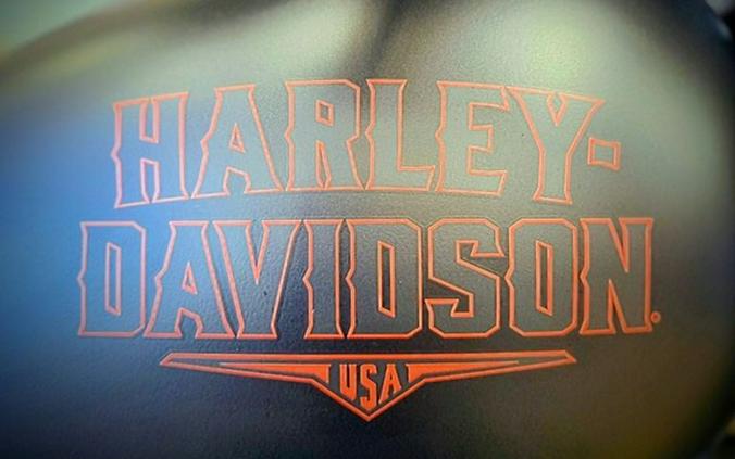 2026 Harley-Davidson® FLHD - Deadwood™