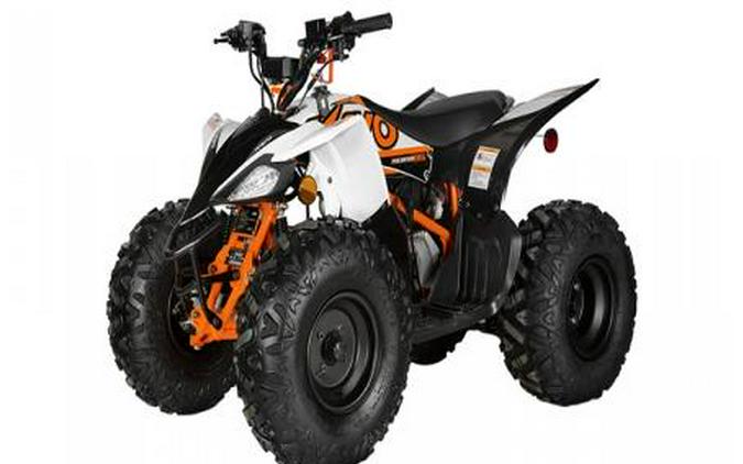 2024 kayo Predator 125