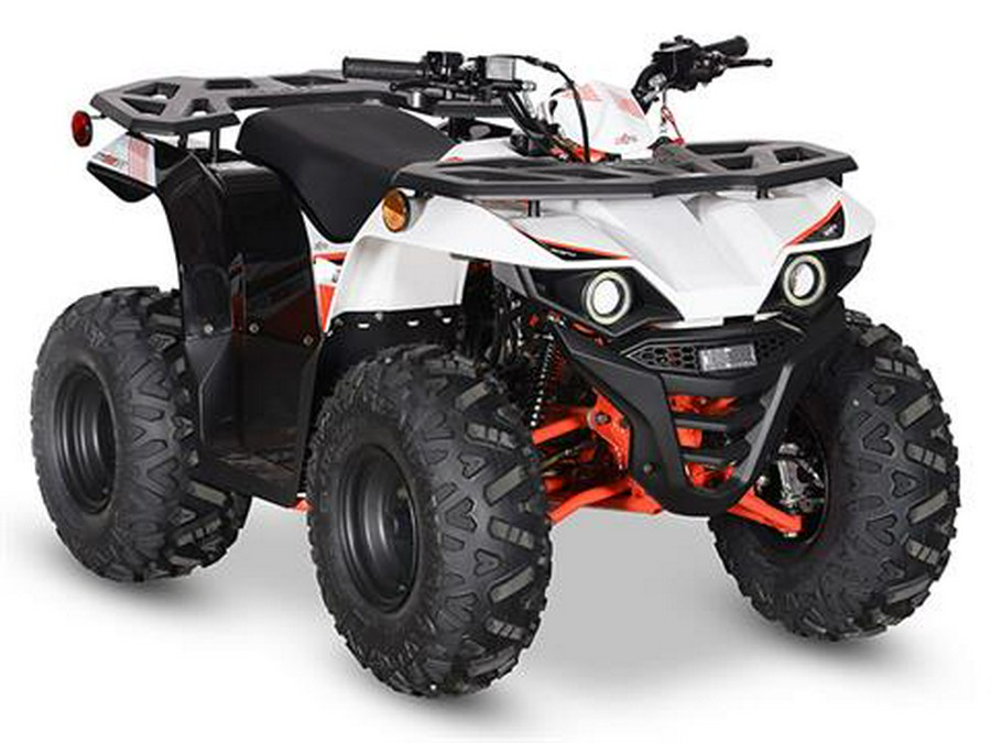 2024 Kayo Bull 125 EFI