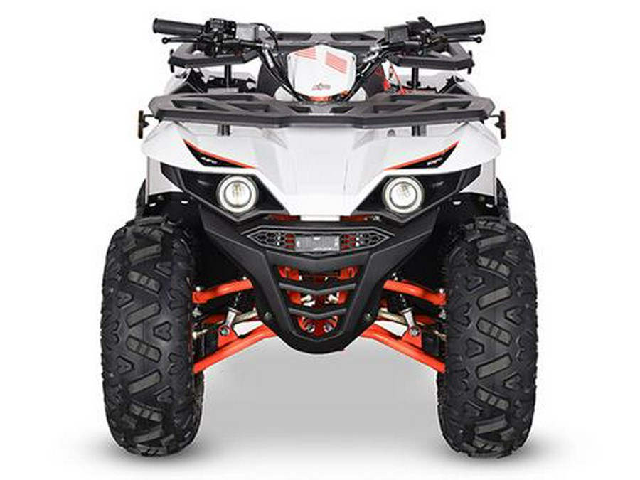 2024 Kayo Bull 125 EFI