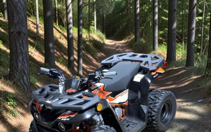 2025 Kayo Bull 110