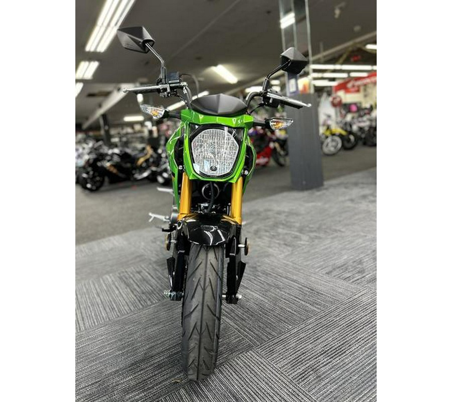 2024 Kawasaki Z125 PRO