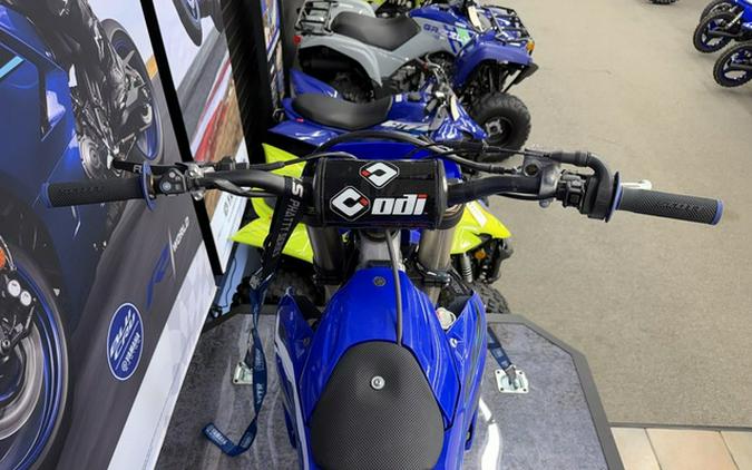 2024 Yamaha YZ 450F Team Yamaha Blue