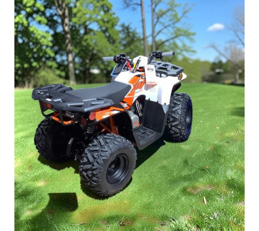 2026 Kayo Bull 110