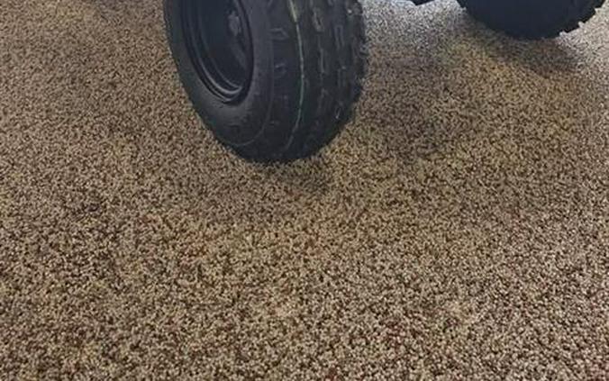 2025 Kymco Mongoose 110i