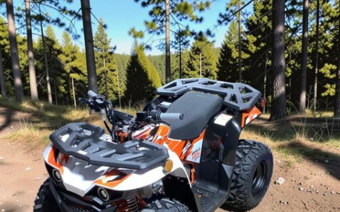 2026 Kayo Bull 125 EFI