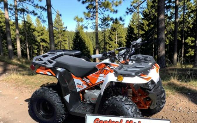 2026 Kayo Bull 125 EFI