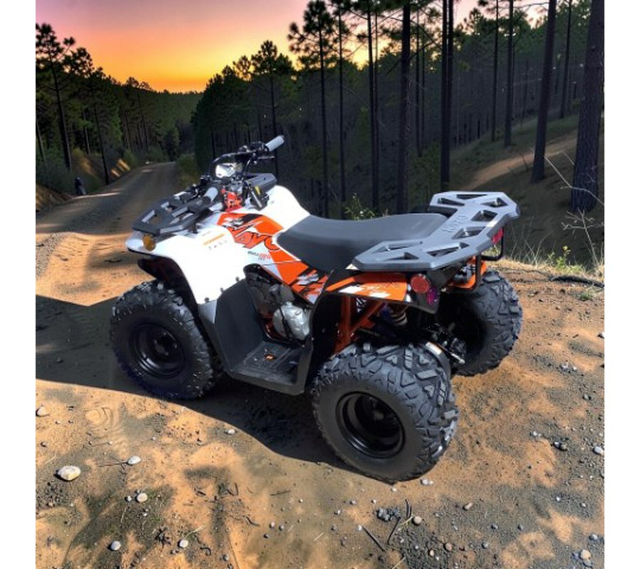 2026 Kayo Bull 125 EFI