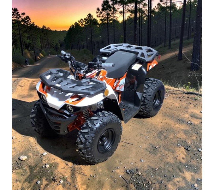 2026 Kayo Bull 125 EFI