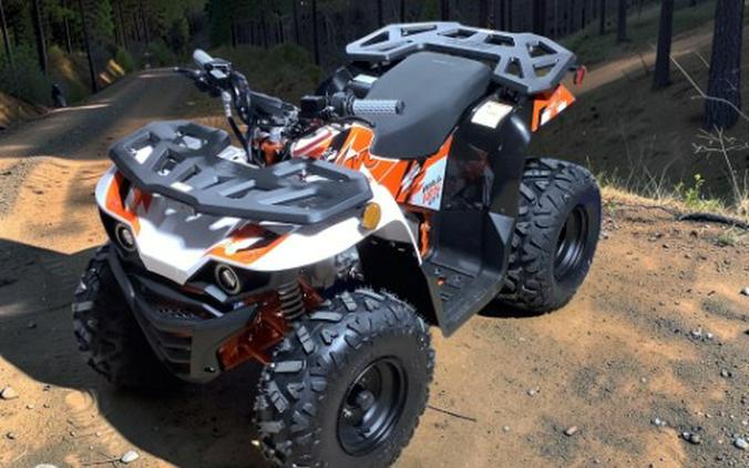 2026 Kayo Bull 125 EFI