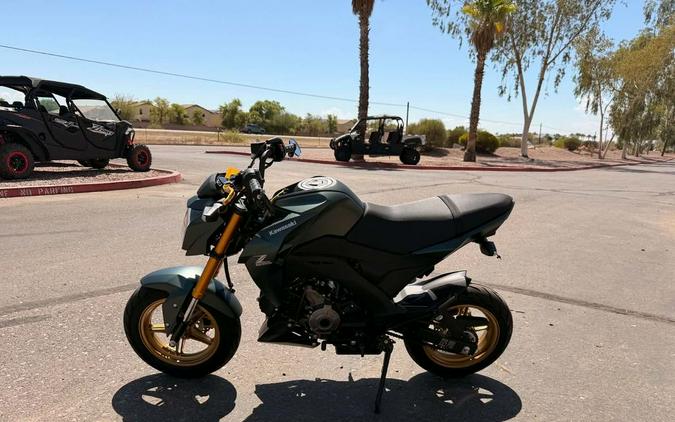 2025 Kawasaki Z125 PRO