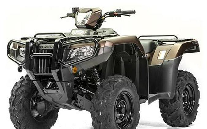 2020 Honda FourTrax Foreman Rubicon 4x4 EPS