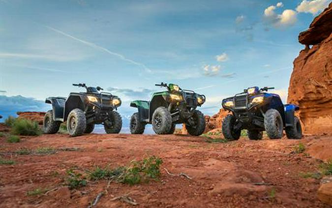 2020 Honda FourTrax Foreman Rubicon 4x4 EPS