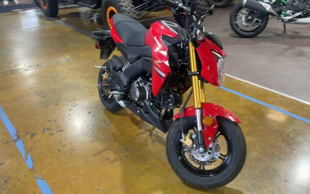2023 Kawasaki Z125 PRO