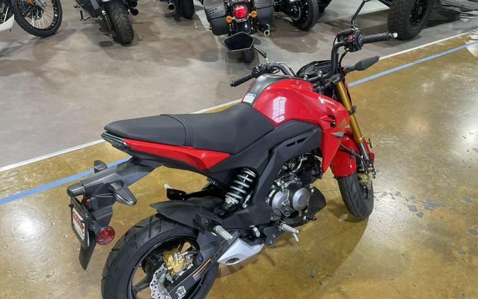 2023 Kawasaki Z125 PRO