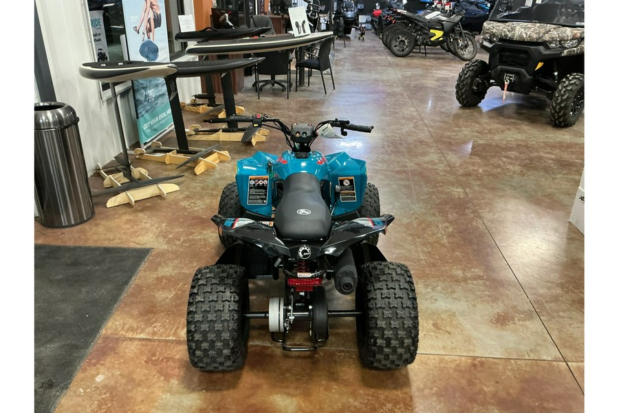 2026 Can-Am REN 100 EFI