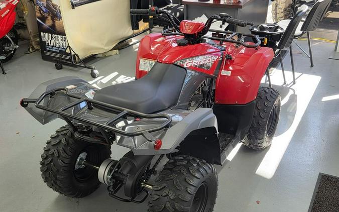 2025 Yamaha Grizzly 110