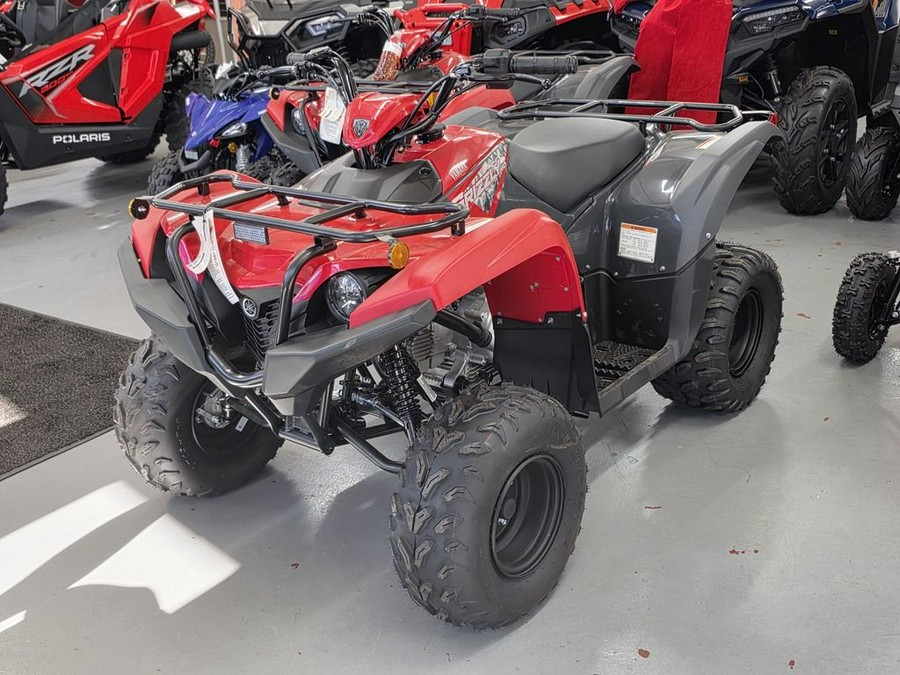 2025 Yamaha Grizzly 110